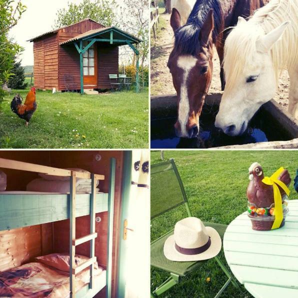 Hotel Ferme Equestre Les Chevaliers Penol Zewnętrze zdjęcie